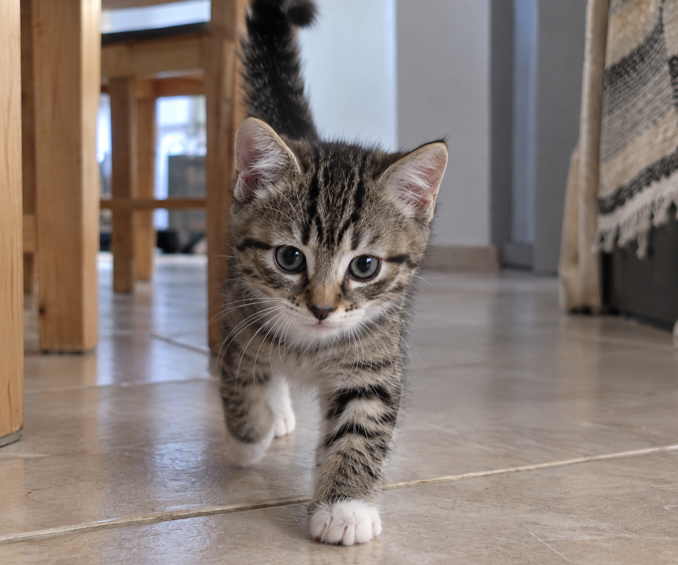 Nala