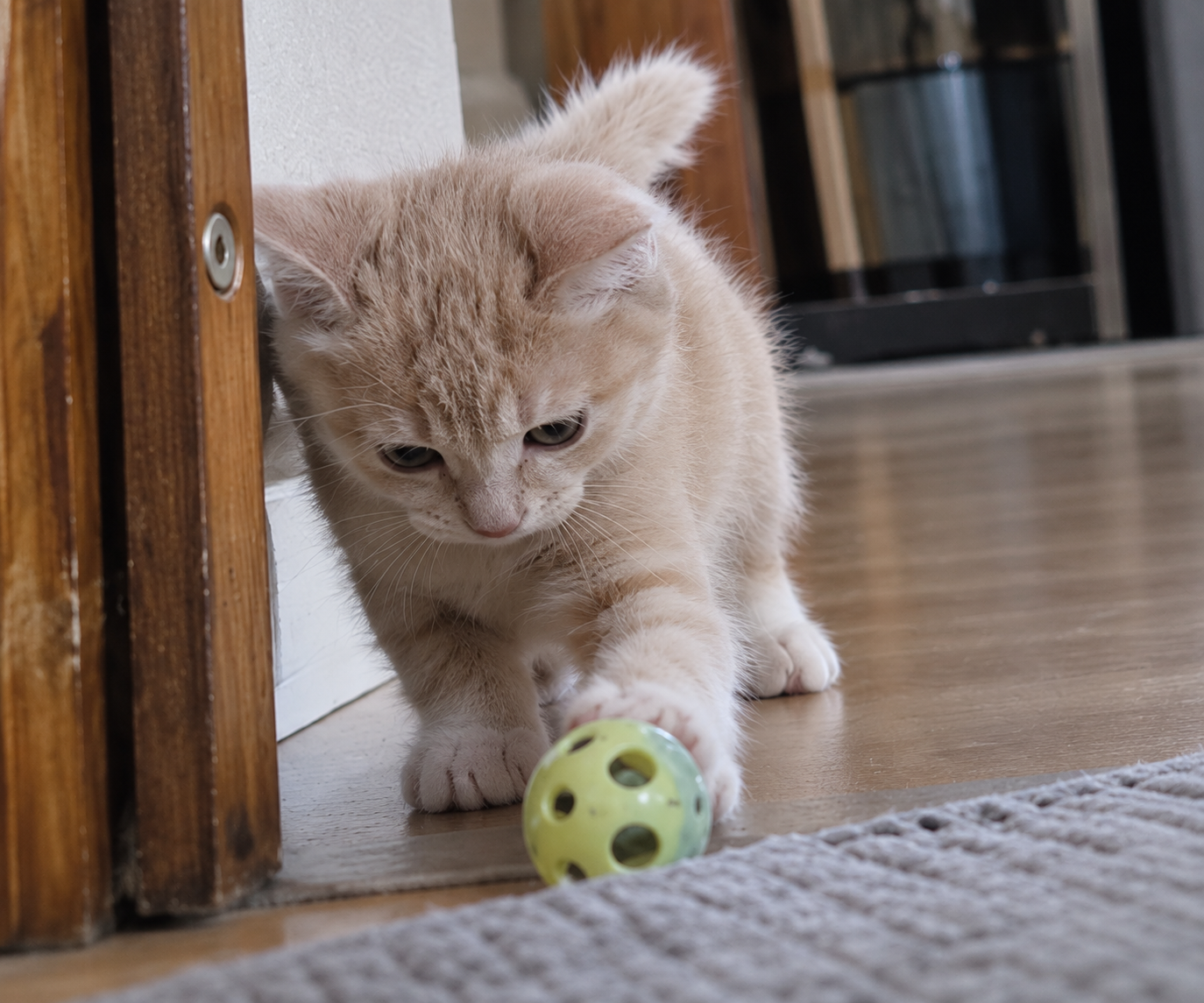 Milo