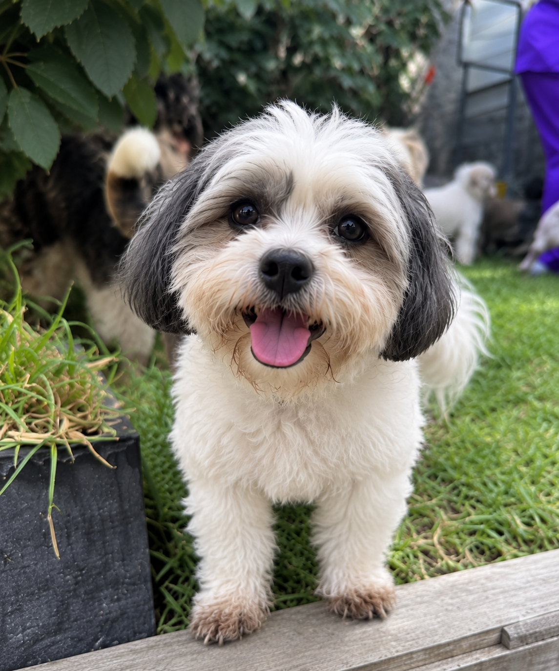 Max