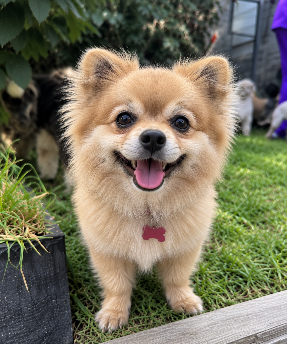 Coco